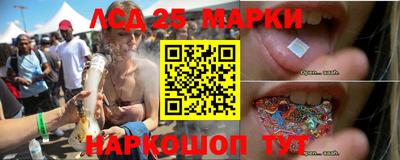 гидропоника Нальчик